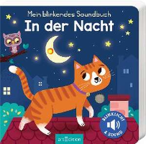 Mein blinkendes Soundbuch - In der Nacht de Kasia Dudziuk