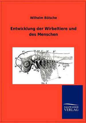 Entwicklung der Wirbeltiere und des Menschen de Wilhelm Bölsche