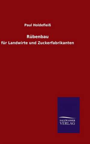 Rubenbau: Magdeburg de Paul Holdefleiß