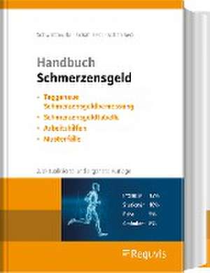 Handbuch Schmerzensgeld de Hans-Peter Schwintowski