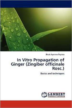 In Vitro Propagation of Ginger (Zingiber officinale Rosc.) de Biruk Ayenew Feyissa