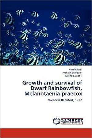 Growth and survival of Dwarf Rainbowfish, Melanotaenia praecox de Hitesh Patil