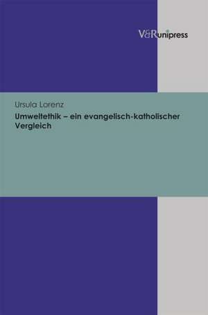 Umweltethik - Ein Evangelisch-Katholischer Vergleich: Das Materielle Kulturerbe Der Grenzregion Sonderjylland - Schleswig Seit 1864 de Ursula Lorenz