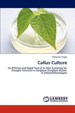 Callus Culture de Yohannes Tsago