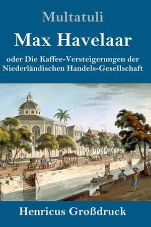 Max Havelaar (Großdruck) de Multatuli