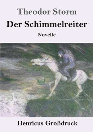 Der Schimmelreiter (Großdruck) de Theodor Storm