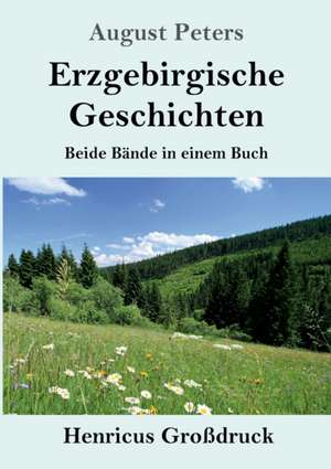 Erzgebirgische Geschichten (Großdruck) de August Peters