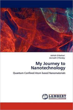 My Journey to Nanotechnology de Ashish K Keshari