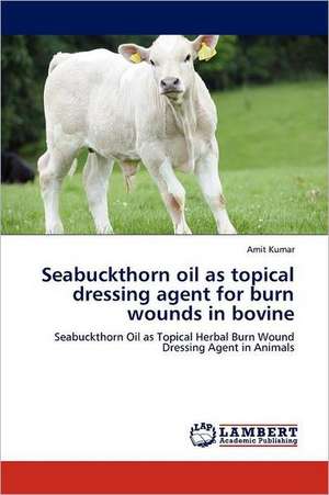 Seabuckthorn oil as topical dressing agent for burn wounds in bovine de Amit Kumar