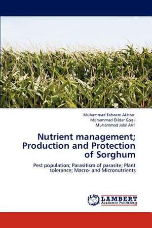 Nutrient management; Production and Protection of Sorghum de Muhammad Faheem Akhtar