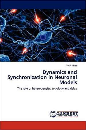 Dynamics and Synchronization in Neuronal Models de Toni Pérez