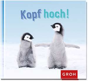 Kopf hoch! de Joachim Groh