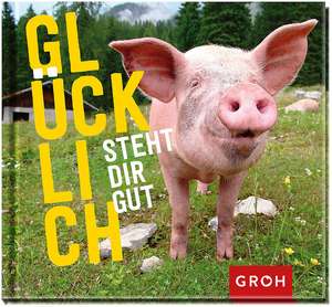 Glücklich steht dir gut de Joachim Groh