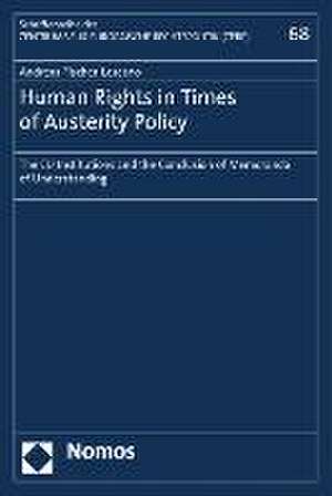 Human Rights in Times of Austerity Policy de Andreas Fischer-Lescano