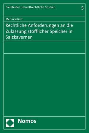 Rechtliche Anforderungen an Die Zulassung Stofflicher Speicher in Salzkavernen: Gesellschaftsrechtliche Binnenstruktur Unter Organisatorischem Einfluss Des Ordnungswidrigkeiten- Und Delikts de Merlin Schulz