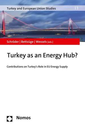 Turkey as an Energy Hub? de Mirja Schröder