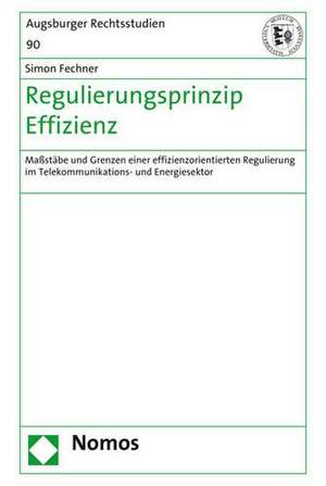 Regulierungsprinzip Effizienz de Simon Fechner