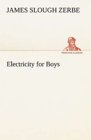 Electricity for Boys de James Slough Zerbe