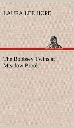 The Bobbsey Twins at Meadow Brook de Laura Lee Hope