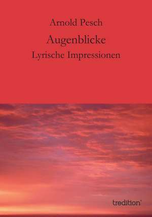 Augenblicke de Arnold Pesch