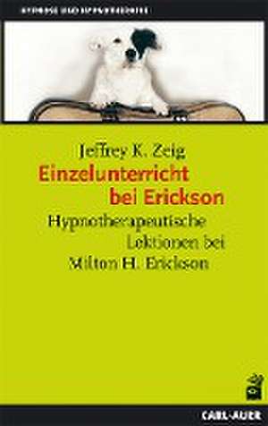 Einzelunterricht bei Erickson de Jeffrey K. Zeig