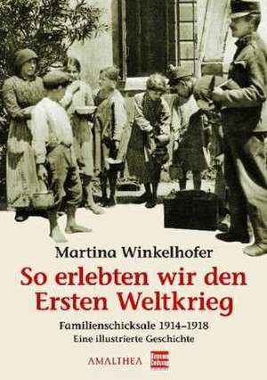 So erlebten wir den Ersten Weltkrieg de Martina Winkelhofer