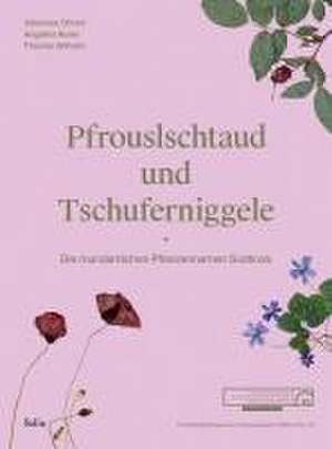 Pfrouslschtaud und Tschuferniggele de Johannes Ortner