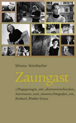 Zaungast de Silvana Steinbacher