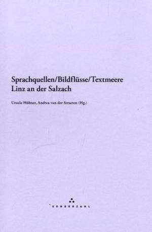 Sprachquellen/Bildflüsse/Textmeere de Ursula Hübner