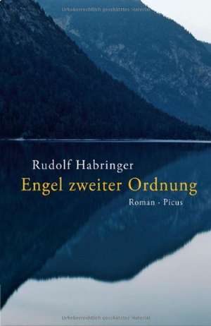 Engel zweiter Ordnung de Rudolf Habringer