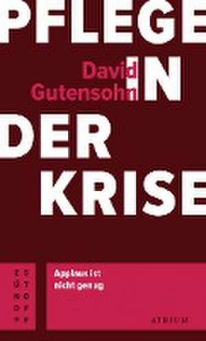 Pflege in der Krise de David Gutensohn