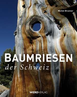 Baumriesen der Schweiz de Michel Brunner