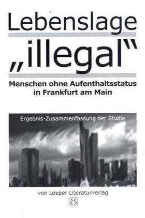 Lebenslage "illegal" - Ergebnis-Zusammenfassung der Studie de Krieger