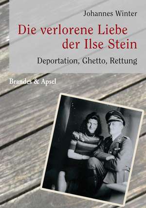 Die verlorene Liebe der Ilse Stein de Johannes Winter