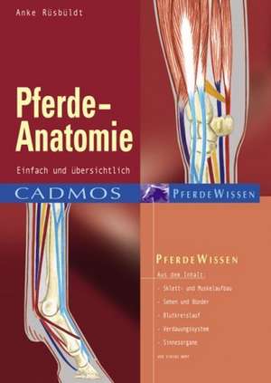 Pferde-Anatomie de Anke Rüsbüldt