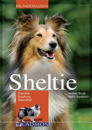 Sheltie de Andrea Bruch