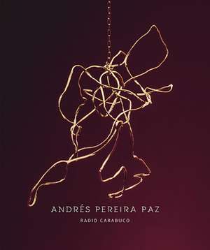 Andres Pereira Paz de Bethanien Kunstlerhaus