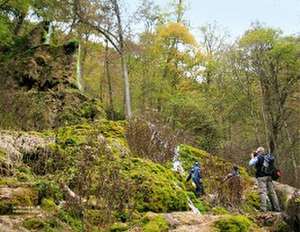 Premiumwanderwege Schwäbische Alb de Dieter Buck