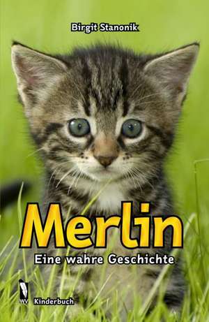 Merlin de Birgit Stanonik