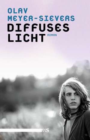 Diffuses Licht de Olav Meyer-Sievers