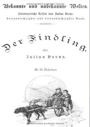 Der Findling de Jules Verne