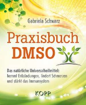 Praxisbuch DMSO de Gabriela Schwarz