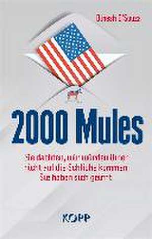 2000 Mules de Dinesh D'Souza