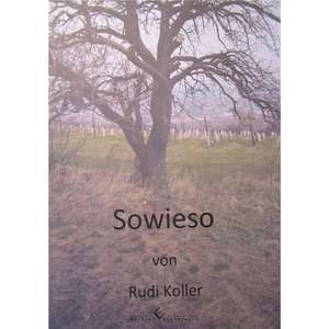 Sowieso de Rudi Koller