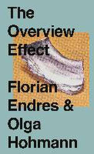 The Overview Effect de Olga Hohmann