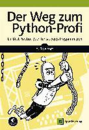 Der Weg zum Python-Profi de Al Sweigart