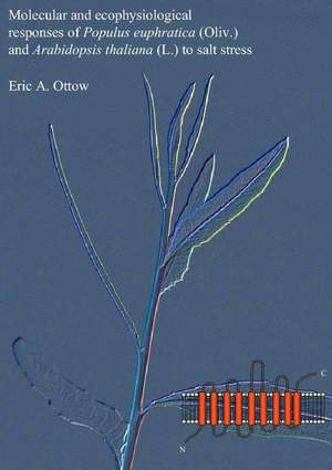 Molecular and ecophysiological responses of Populus euphratica (Oliv.) and Arabidopsis thaliana (L.) to salt stress de Eric Aart Ottow