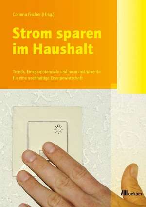 Strom sparen im Haushalt de Corinna Fischer