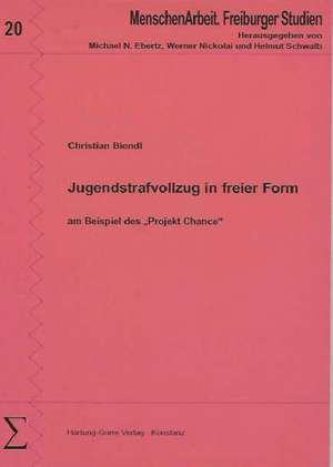 Jugendstrafvollzug in freier Form de Christian Biendl