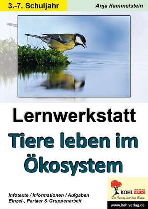 Lernwerkstatt Tiere leben im Ökosystem de Anja Hammelstein